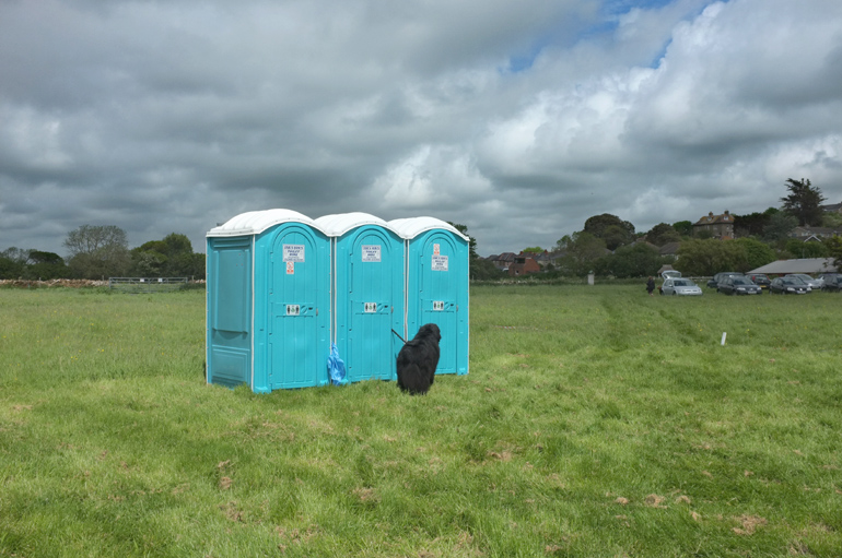 Dog and toilet, 2014