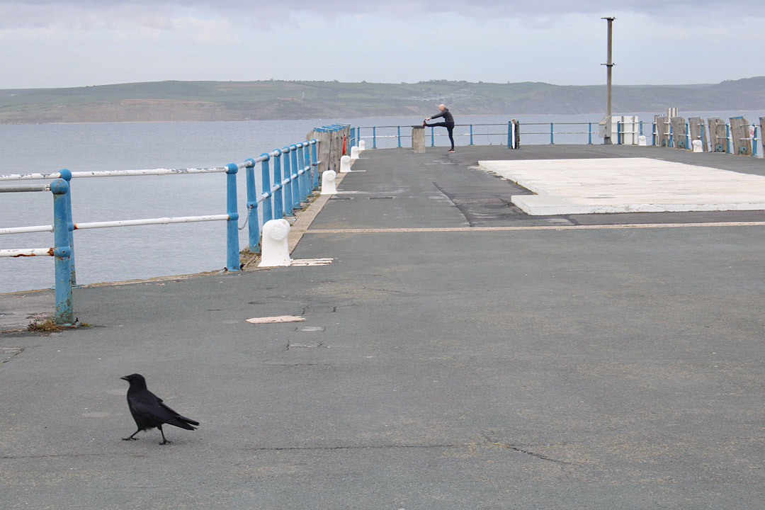 Photo 5, crow and exerciser on Weymouth pleasure pier