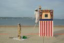 Bees invade Mark Poulton's Punch and Judy, Weymouth beach