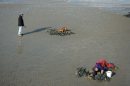 Man and dog digging on Weymouth beach