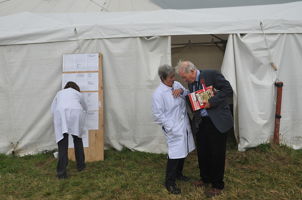 Country Show. Photo 7. Cattle scoring, judging and discussion at the Frome Show, 2014