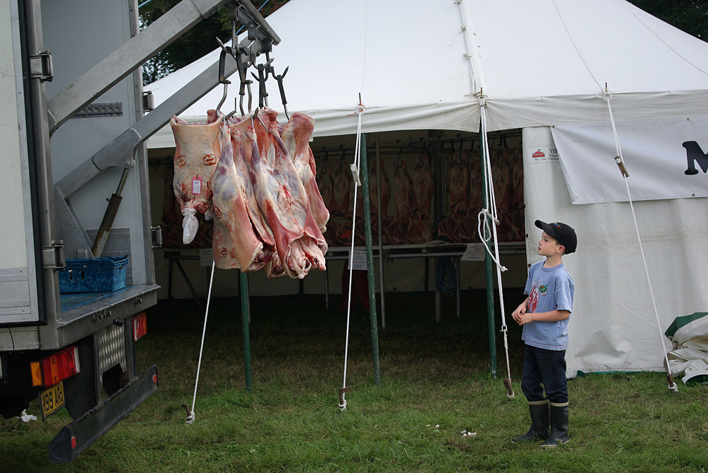 Country Show. Photo 10. Cattle carcasses at the Melplash Show, 2008