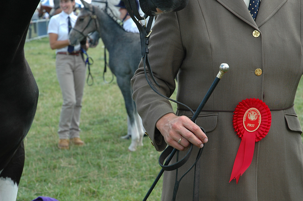 Country Show. Photo 21. Horses with first prize, Dorset County Show, 2007