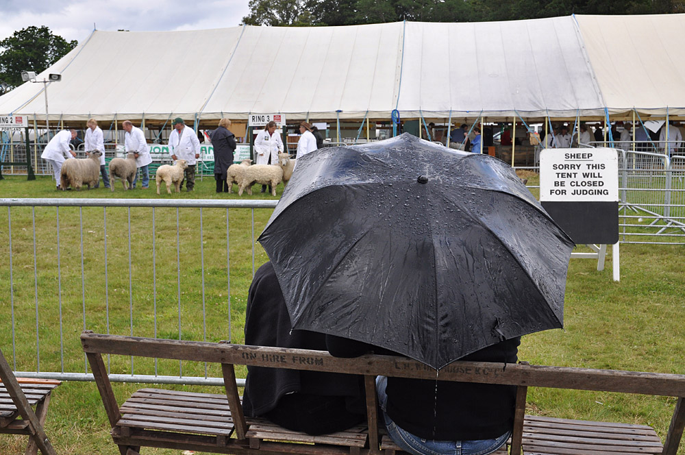 Country Show. Photo 28. Judging sheep on a wet day at the New Forest Show, 2009. Umbrella.