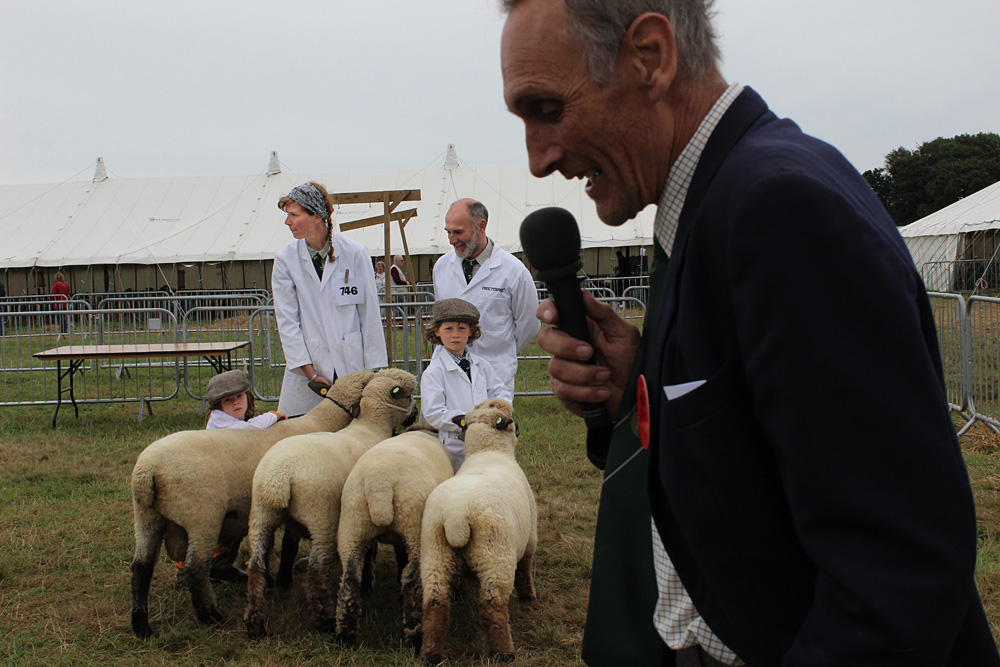 Country Show. Photo 30. Judging sheep announcing at the Dorset County Show, 2016. Microphone.