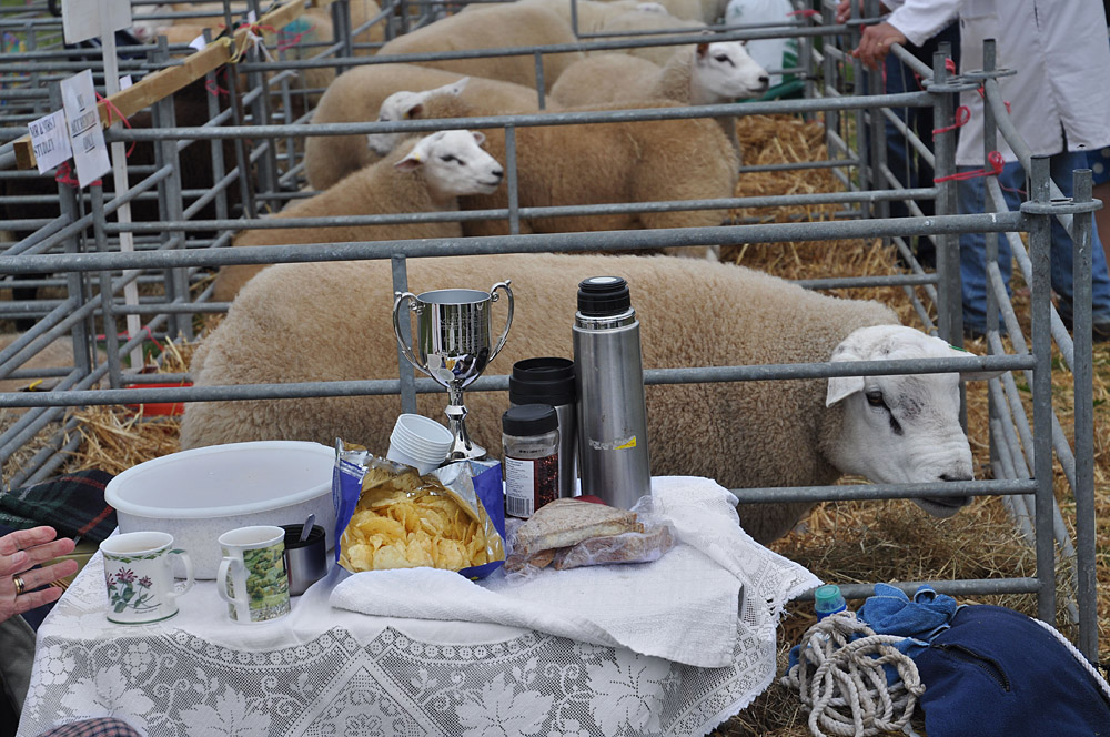 Country Show. Photo 32. Prizes for sheep and crisps and tea at the Dorset County Show, 2009