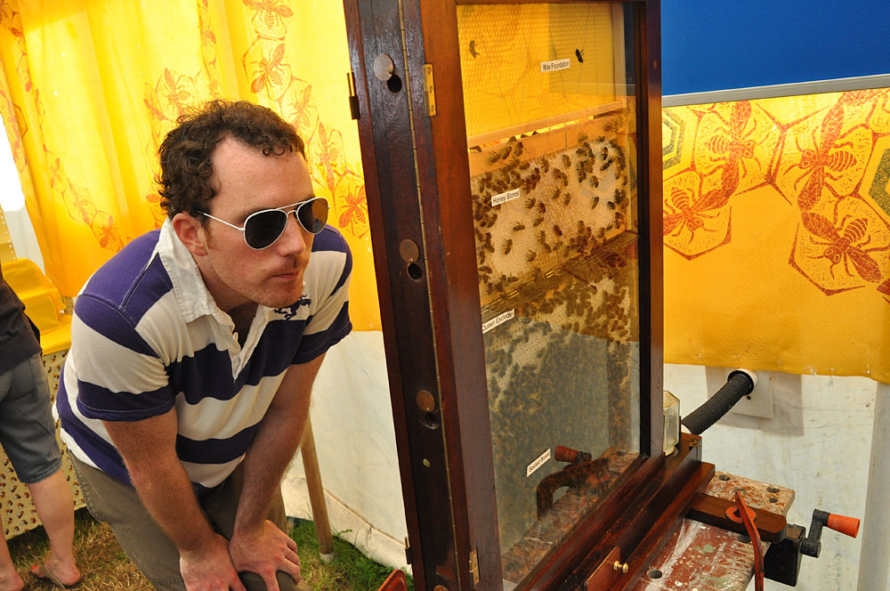 Country Show. Photo 35. Looking at a hive in the bee tent at the Dorset County Show, 2011