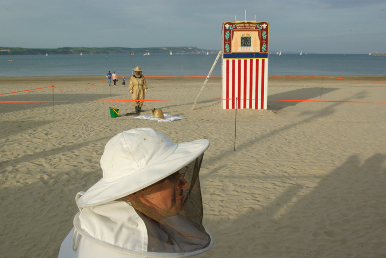 Bees, Punch and Judy, Weymouth