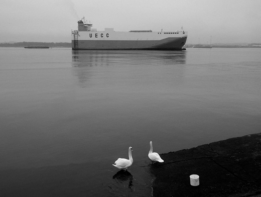 Swans, Southampton