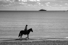 Horse and ship, Weymouth