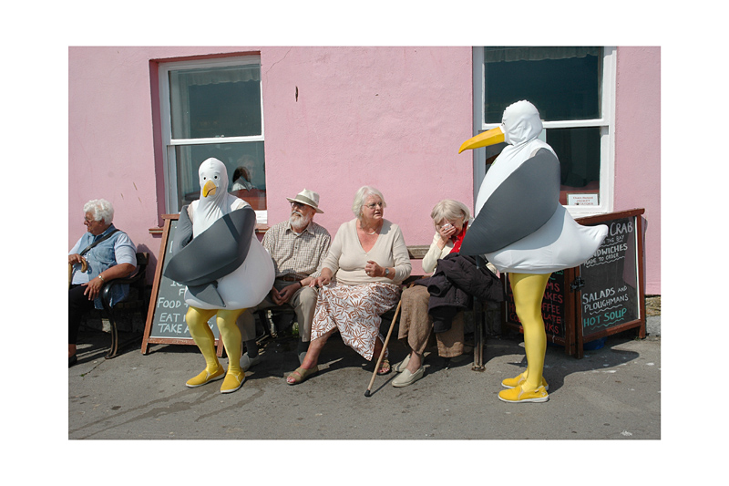 Lyme Regis Seagulls print