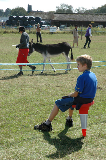 Donkeys, Dorset County Show