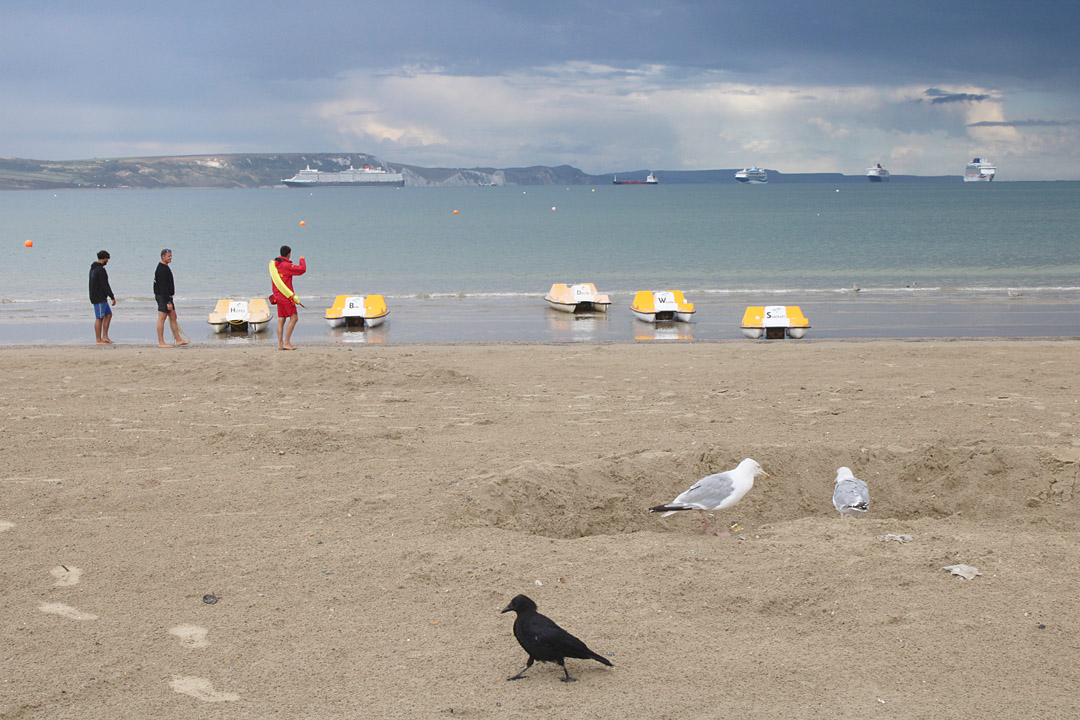 Photo 9, crow, seagulls, pedaloes and ghost liners, Weymouth