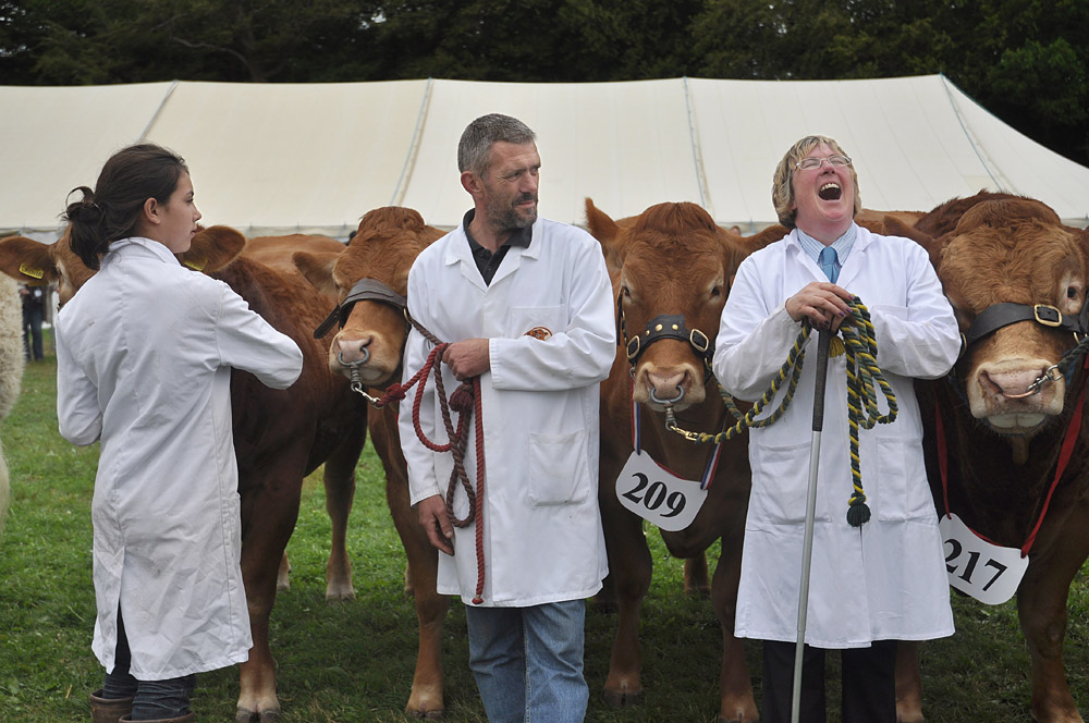 Country Show. Photo 6. Cattle and a laughing handler at the New Forest Show, 2009