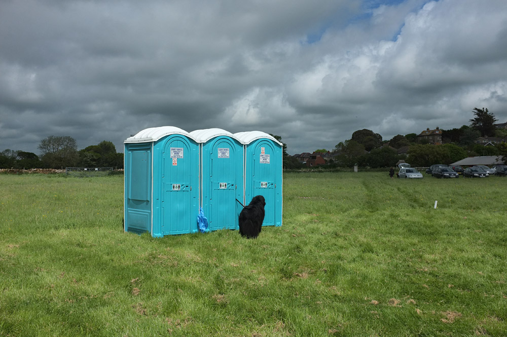 Country Show. Photo 18. Dog and toilet, Brit Valley Dog Show, 2014