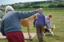 Judging dogs at the Brit Valley Companion Dog Show, near Bridport