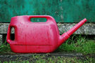 Watering can, Frome